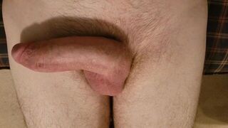 Big dick getting hard - porn video